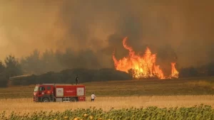 18 günde 61 orman yangını: 4 tutuklama
